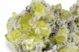 Striking Sulfur Crystal Cluster - Italy #240641-2